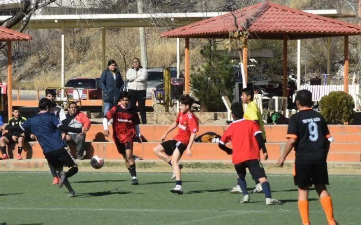 futbol tin papas